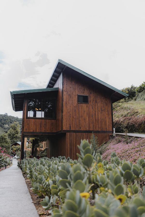 Lauraceas Lodge San Gerardo de Dota Ngoại thất bức ảnh
