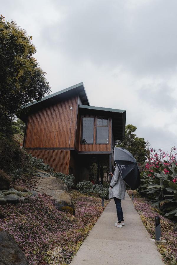 Lauraceas Lodge San Gerardo de Dota Ngoại thất bức ảnh