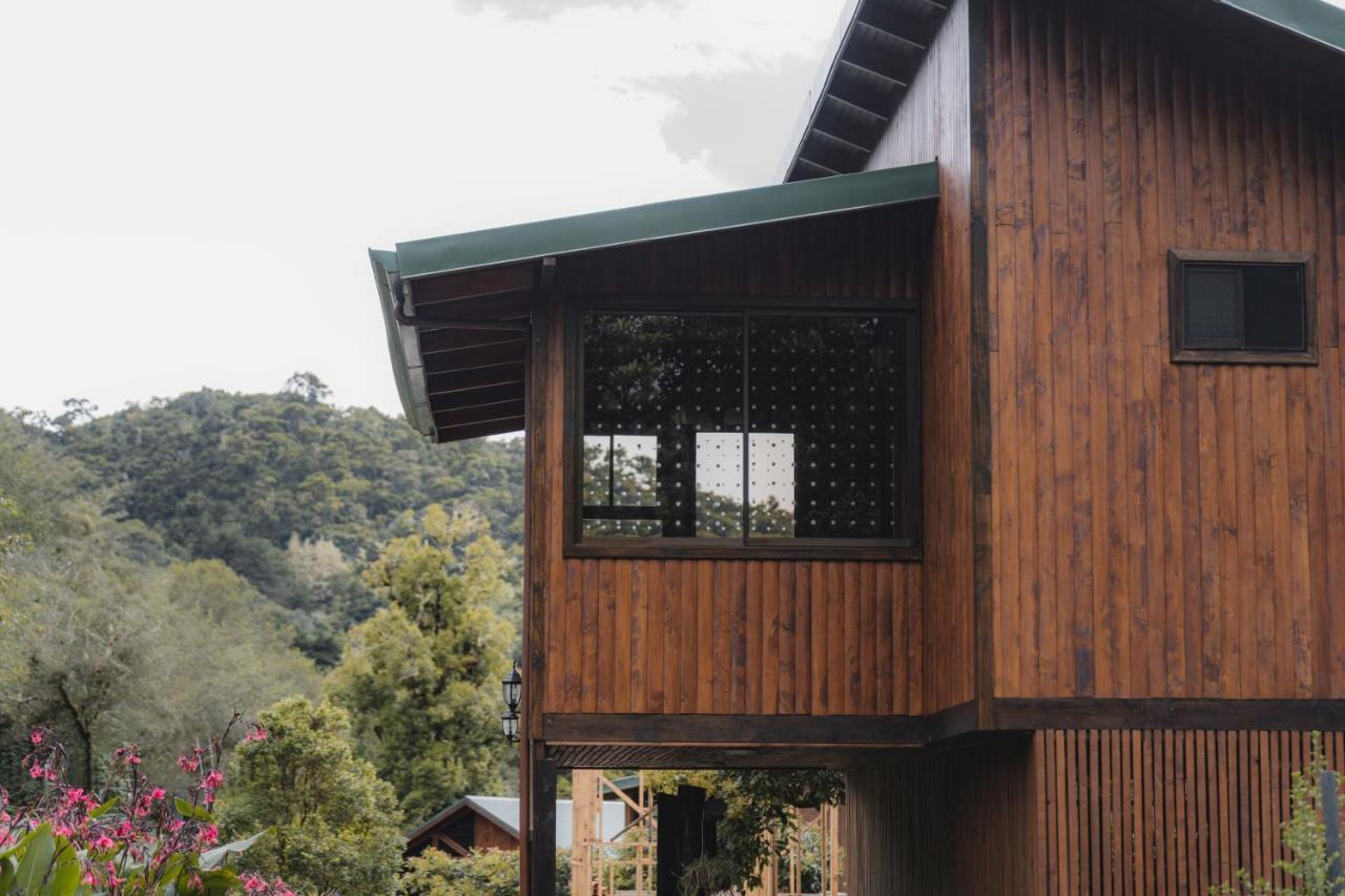 Lauraceas Lodge San Gerardo de Dota Ngoại thất bức ảnh